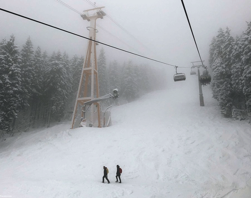 امروز به روایت تصویر