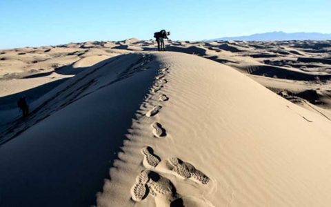 کویر ابوزید آباد
