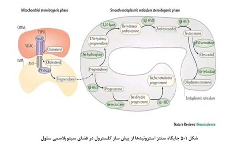 نقش استرس در ایجاد و تشدید ام اس ثابت شد