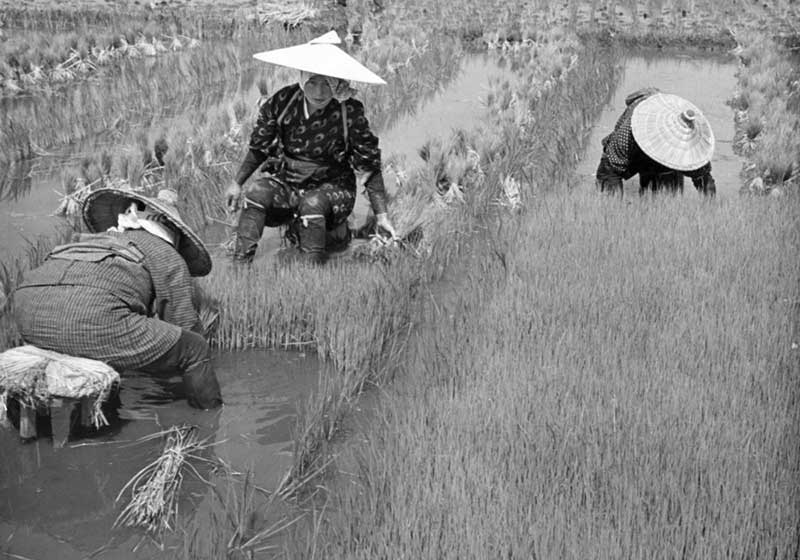 تصاویر سیاه و سفیدِ روزگار قدیم : از اولین آزمایش اتمی آمریکا تا دوران خردسالی هیتلر