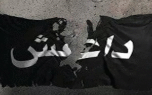 53