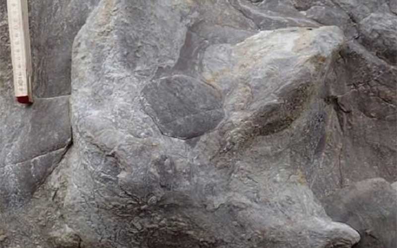 توفان جای پای ۱۰۰ میلیون ساله دایناسورها را به نمایش گذاشت