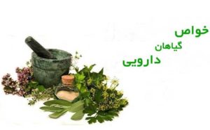 WhatsApp-Image-2018-12-17-at-2.24