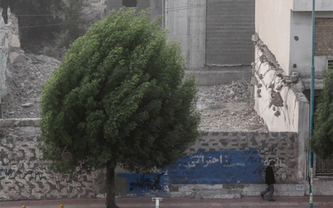وزش باد شدید