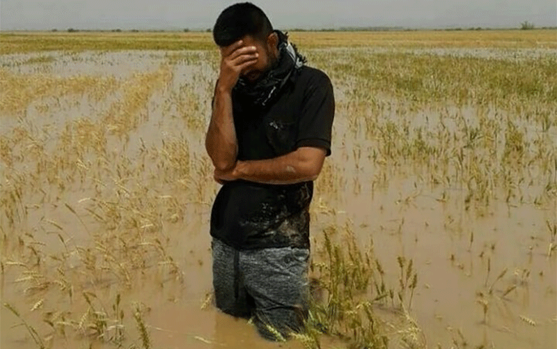 سیلاب