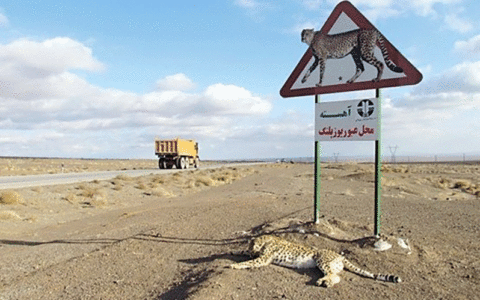 محیط زیست استان یزد