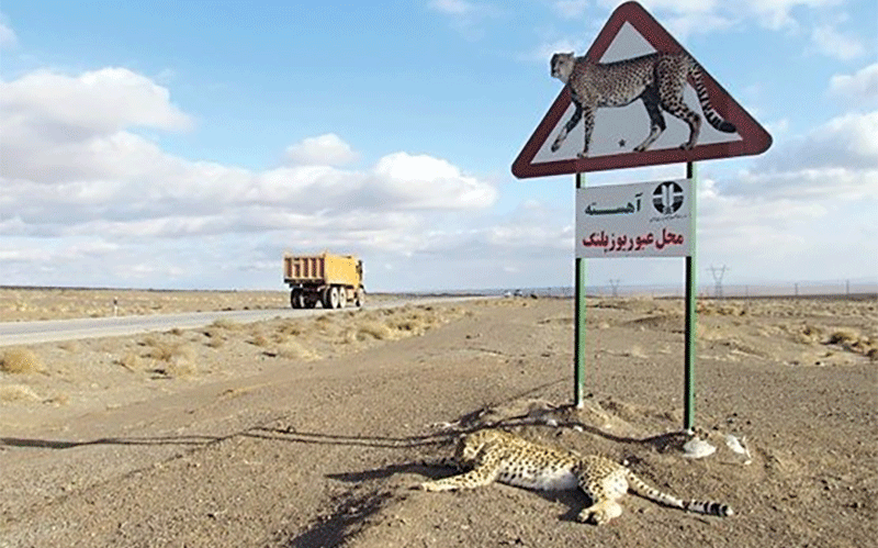 محیط زیست استان یزد