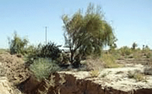 دشت ساوجبلاغ