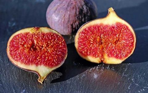 فواید انجیر در کنترل وزن و درمان کم خونی