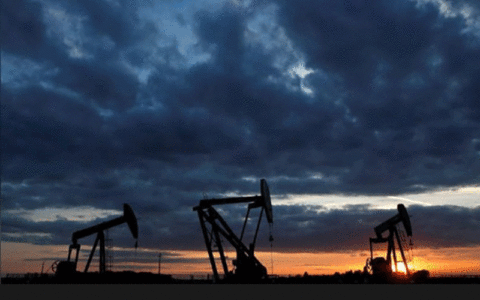 قیمت نفت