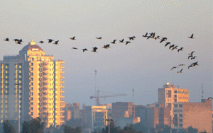 سازمان هواشناسی