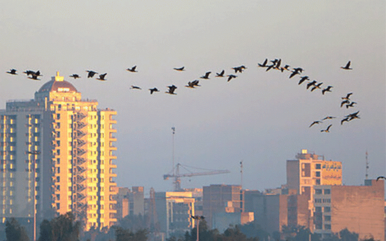 سازمان هواشناسی