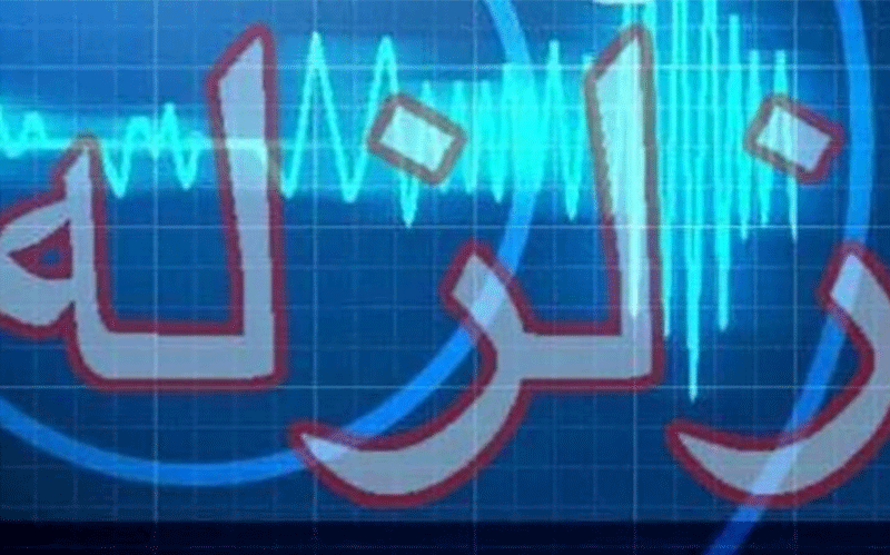 شبکه‌های لرزه‌نگاری