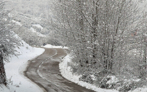 سازمان هواشناسی