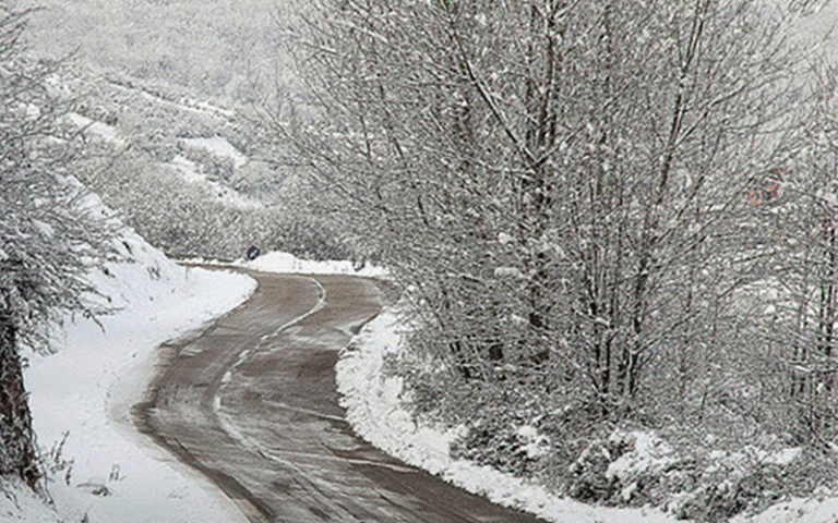 سازمان هواشناسی