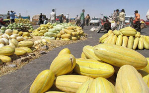 مدیریت گمرک ایران