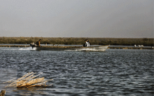 سازمان حفاظت محیط زیست