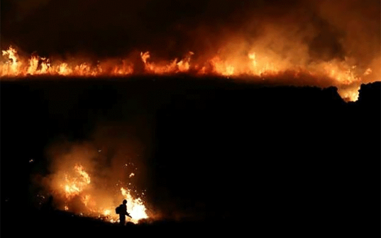 36
