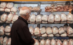 مرغ منجمد