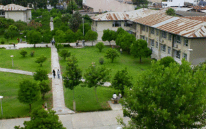 درخت کاری
