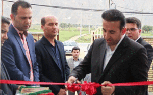 تنگستان