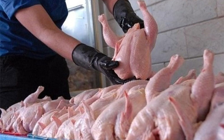 مرغ