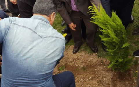 احیای فضای سبز خیابان ولی عصر،