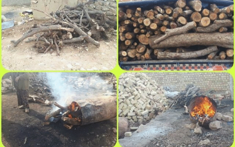 زغال‌گیری در روستای تِل‌مینه
