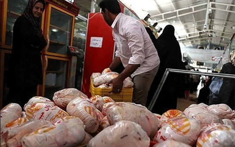 دستگیری سه نفر برای خارج کردن مرغ از آزادشهر گلستان مرغ زنده بدون مجوز