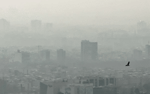 شهرداری تهران