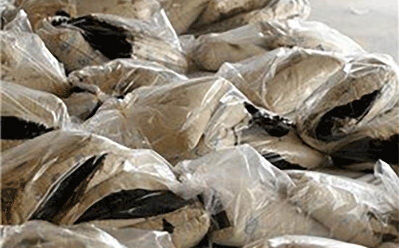 کشف تریاک در کارتن روغن نباتی مواد مخدر پایتخت