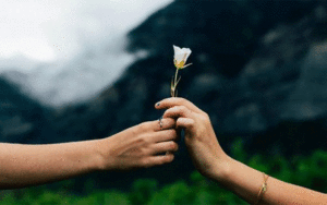شبکه‌های اجتماعی،
