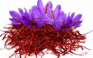 Saffron-800×500