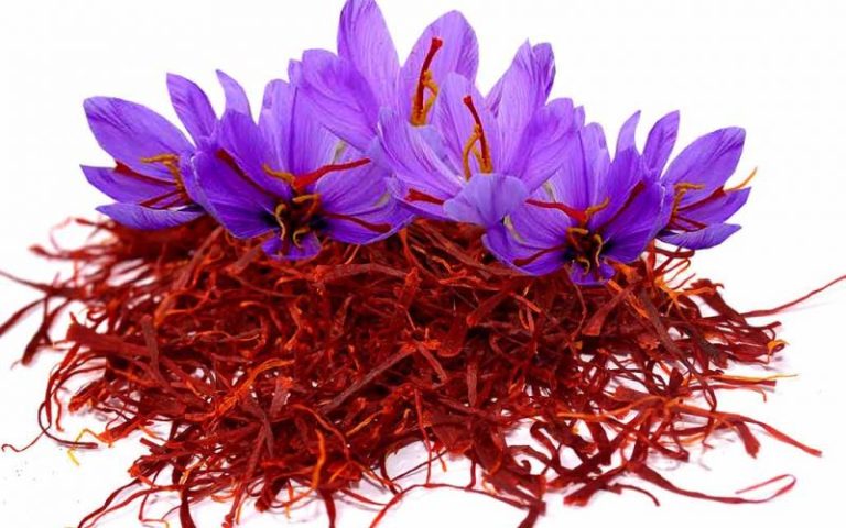 Saffron-800×500