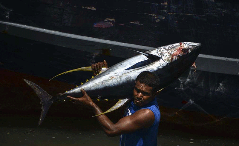 تصاویر : دیدنیهای امروز پنجشنبه ۲۳ اسفندماه