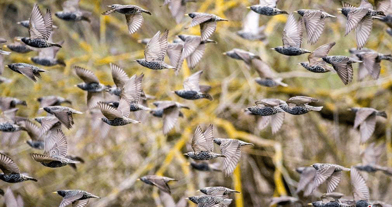 تصاویر : دیدنیهای امروز پنجشنبه ۲۳ اسفندماه