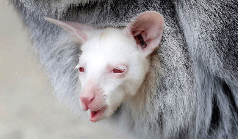 تصاویر : دیدنیهای امروز پنجشنبه ۲۳ اسفندماه