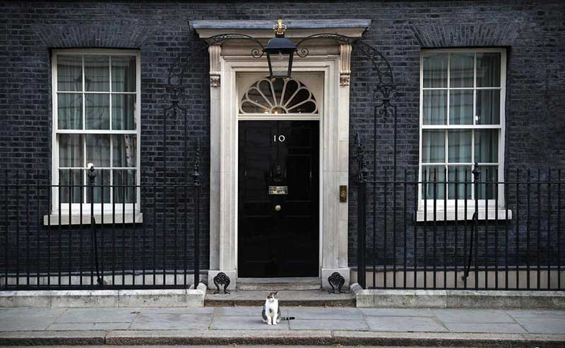 تصاویر : دیدنیهای امروز