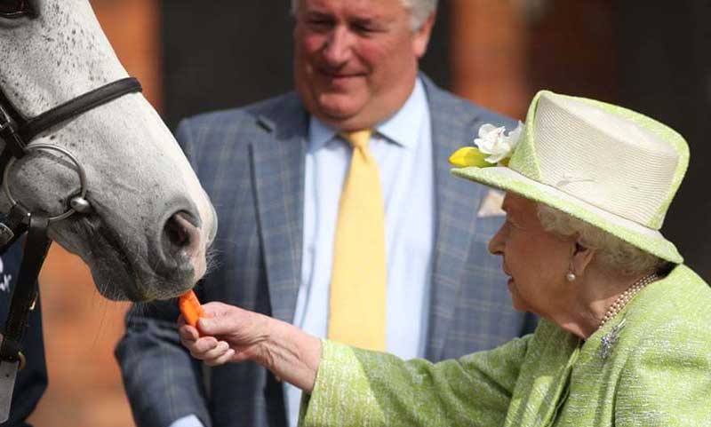 تصاویر : دیدنیهای امروز یکشنبه ۱۱ فروردین ماه