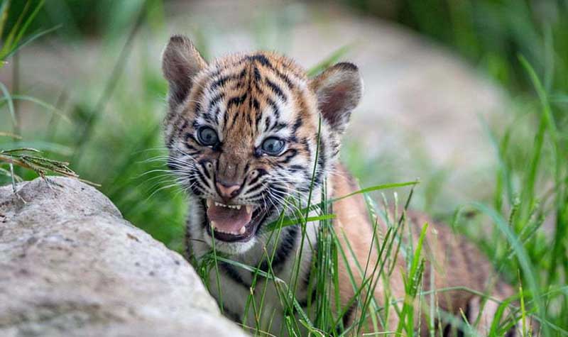 تصاویر : دیدنیهای امروز یکشنبه ۱۱ فروردین ماه