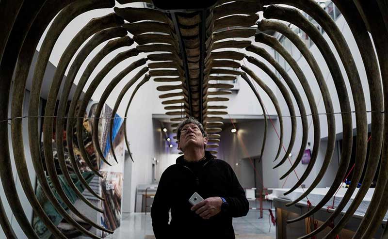 تصاویر : دیدنیهای امروز