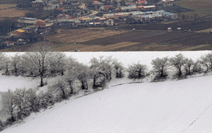 سازمان هواشناسی