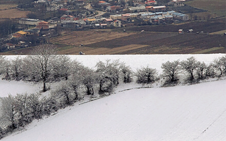 سازمان هواشناسی