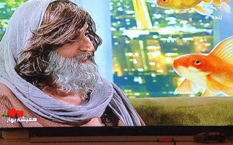 زنده سازی حافظ و سعدی