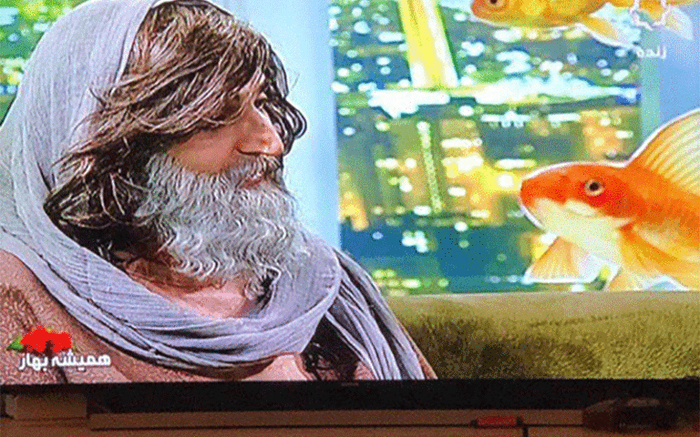 زنده سازی حافظ و سعدی