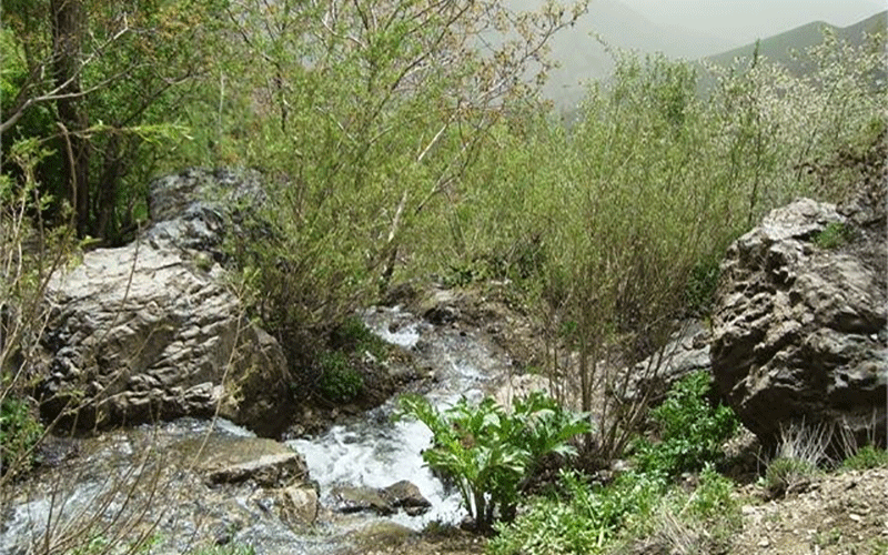 نمونه برداری از آب قنات «کن» به منظور حفظ حیات درختان روستای کن