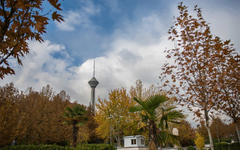 درختانی مناسب فضای سبز تهران