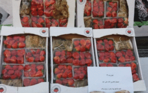 فضای سایبری