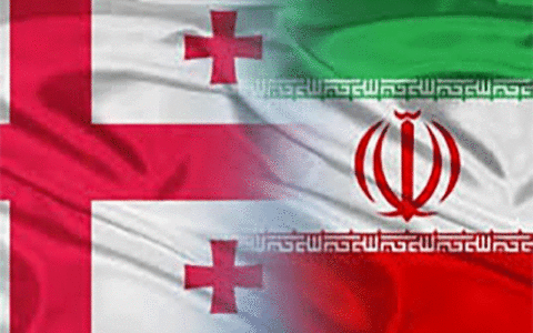 حمایت از حقوق هموطنان