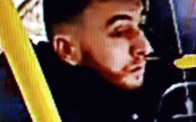 پلیس هلند